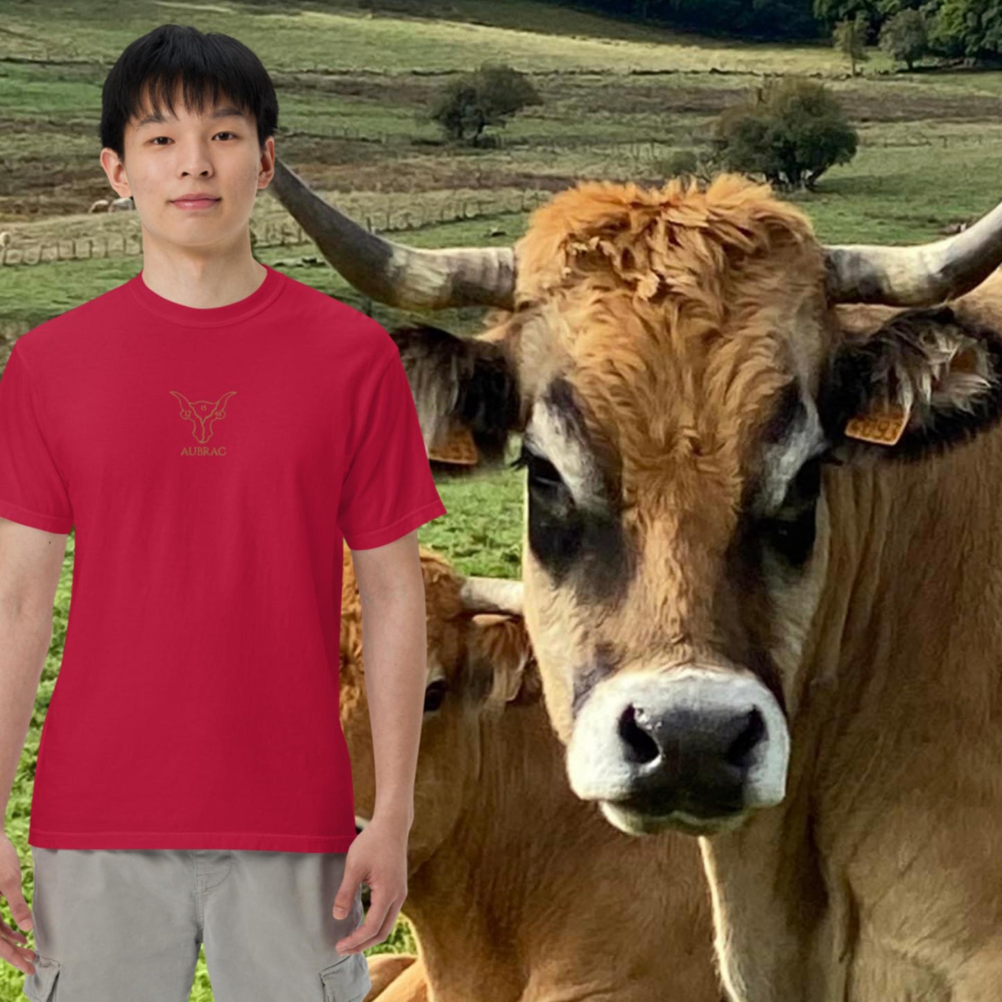 Vache BRODÉ Marron, T-shirt teinté lourd, HOMME