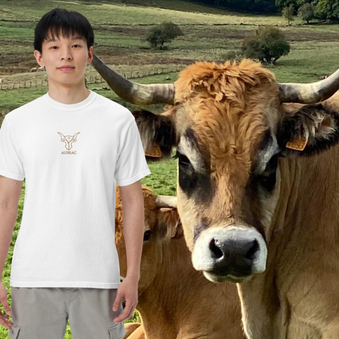 Vache BRODÉ Marron, T-shirt teinté lourd, HOMME